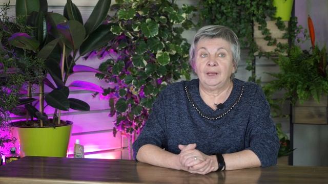 ЧЕСНОК ПРОРОС ОСЕНЬЮ ➔ Взошел озимый чеснок. Что делать, чтобы он не вымерз? смотреть онлайн