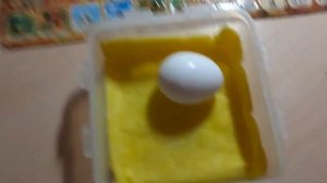 Как вывести из магазинных яйца цыплят