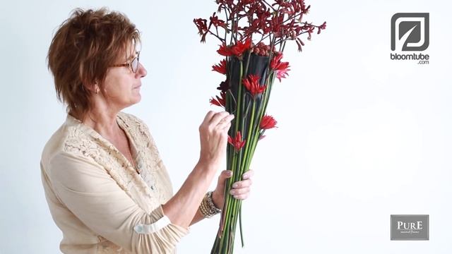 Striking autumn bouquet with Anigozanthos смотреть онлайн