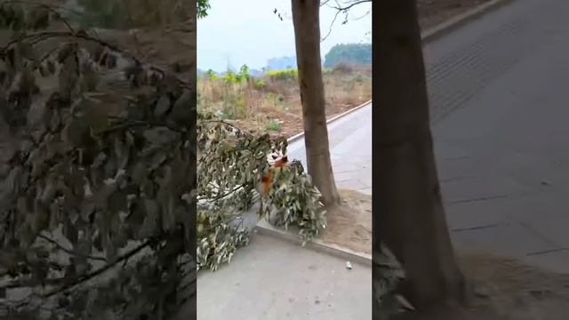 Я и мои бесполезные покупки с ВБ смотреть онлайн