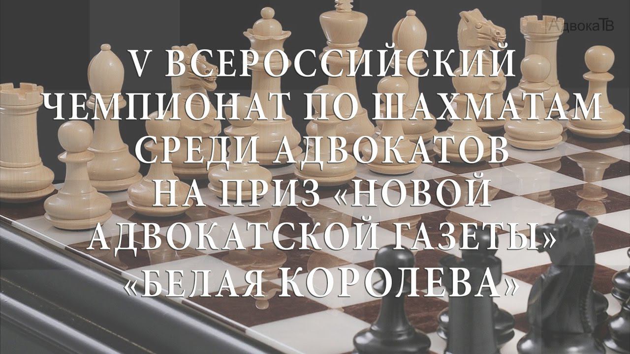 Открытие V Всероссийского чемпионата по шахматам среди адвокатов «Белая королева» смотреть онлайн