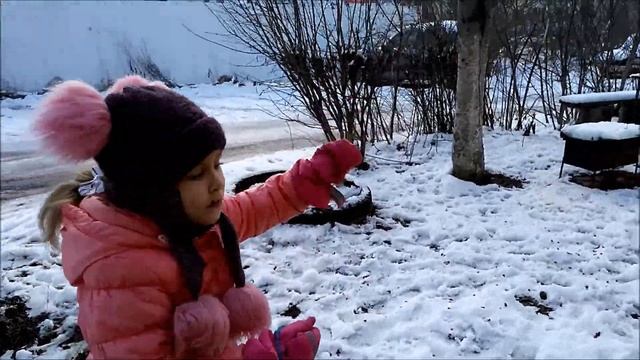 КОРМУШКА ДЛЯ ПТИЦ по школьному заданию! смотреть онлайн
