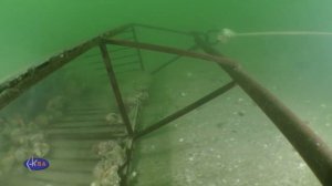 Ловля рапан драгой.