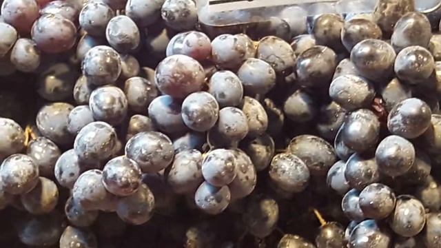 Виноград Кишмиш черный смотреть онлайн