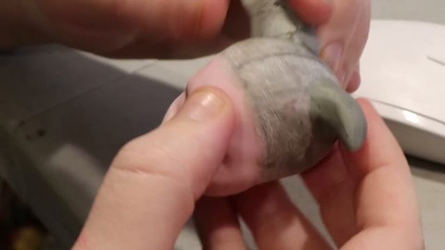 Faceup Time! Harley Quinn Monster High OOAK Custom Doll смотреть онлайн