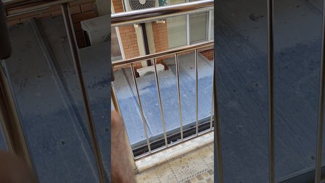 Моё любимое упражнение из утренней разминки. смотреть онлайн