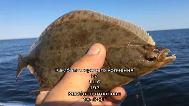 Калории - Камбала смотреть онлайн
