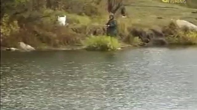 Рыбалка Щербаковых 32. Ловля Судака и Берша спиннингом. смотреть онлайн