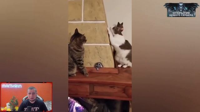 МАНУРИН СМОТРИТ UNUSUAL MEMES Compilation | BEST CUBE смотреть онлайн