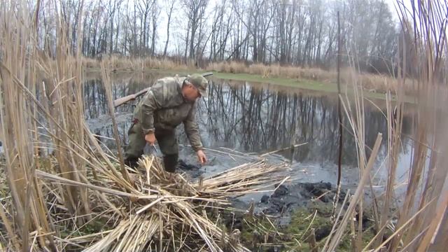 Самый добычливый способ добыть ондатру. Мордушка на ондатру смотреть онлайн