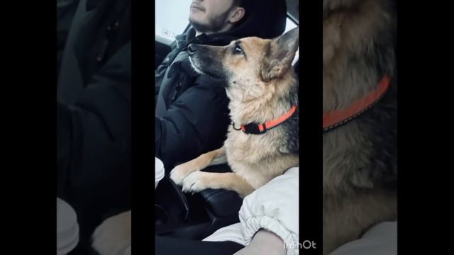 Домой где тебя ждут….?❤️ смотреть онлайн