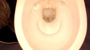 Как сливается вода в унитазе