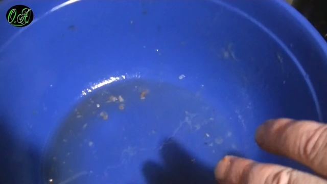 Lohikeitto, kalakeitto, уха по-фински со сливками, уха по-карельски или "молочная уха" смотреть онлайн