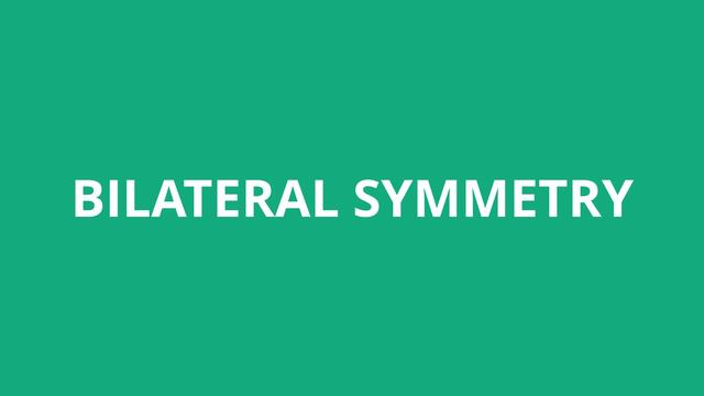 How To Pronounce Bilateral Symmetry - Pronunciation Academy смотреть онлайн