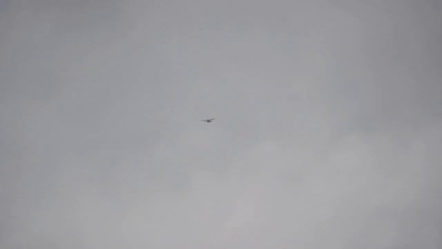 Цессна 150 RC. Cessna 150 RC, земляничные поля 14.11.2011 / 2 смотреть онлайн