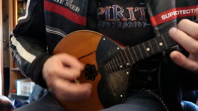 Домра :)