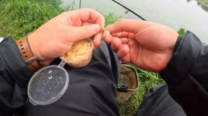 Лагуна оз. Игумное. Ловля карпа на фидер.