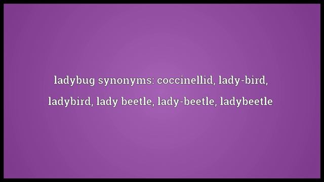 Ladybug Meaning смотреть онлайн