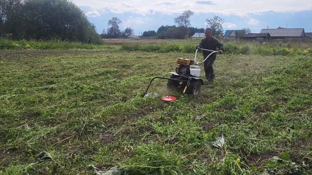 В деревне, косим ботву перед тем как копать картошку. смотреть онлайн