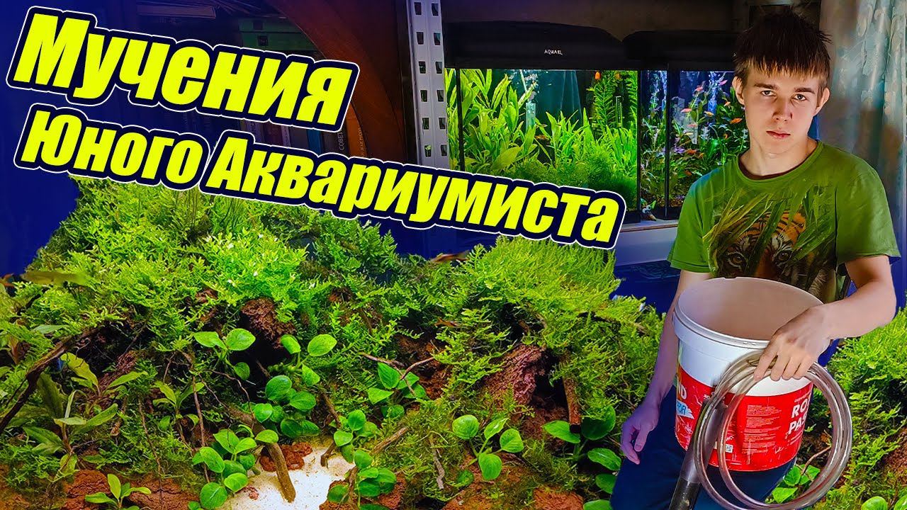 Мучения юного аквариумиста на рыборазводне [Спустя год] смотреть онлайн