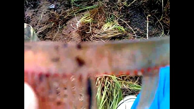 Старые Вашки