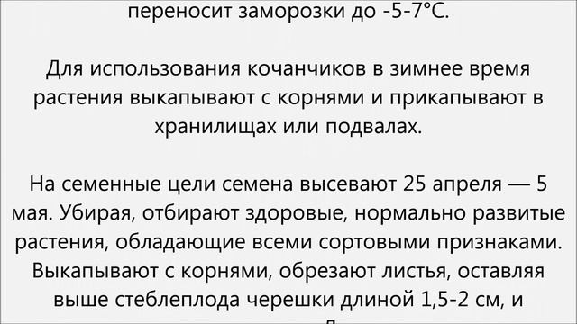 Капуста брюссельская уход смотреть онлайн