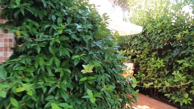 Отдых в Террачине, Италия. Обзор одной из вилл у моря. Terracina, Lazio. смотреть онлайн