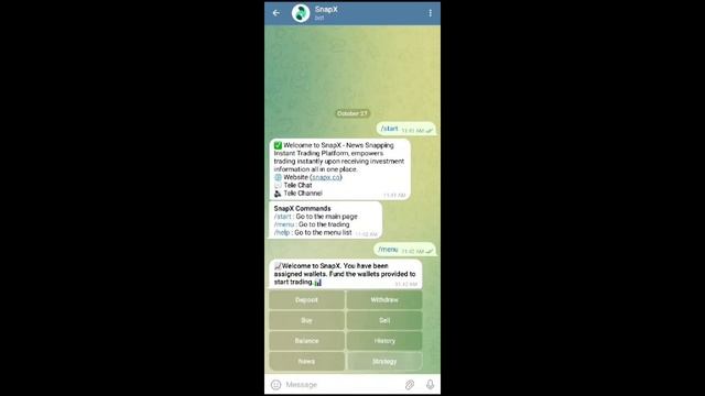 SnapX_Strategy Copy смотреть онлайн