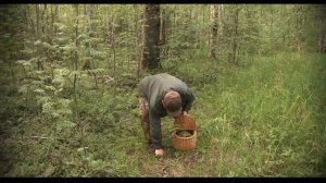 Алексей Чернушенко в гостях у Green Gold Park