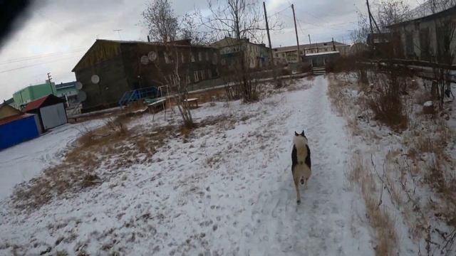 Отвечаю на коментарии про поселок смотреть онлайн