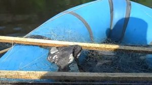 Рыбалка на экраны с лодки от первого лица, рыболовный экран