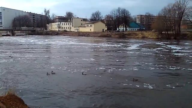 10.04.2018 Ловать без льда смотреть онлайн