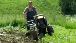 Плуг ПЦ-1-18 в поле. Работа...