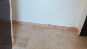 Horus Paradise Side ⭐⭐⭐⭐⭐ Хорус Парадайз Сиде - Полный обзор - Территория - Номер - Пляж