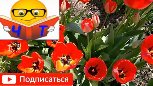 ЗНО "ПАМ'ЯТІ ТРИДЦЯТИ" Павло Тичина Павло аудио слухать смотреть онлайн