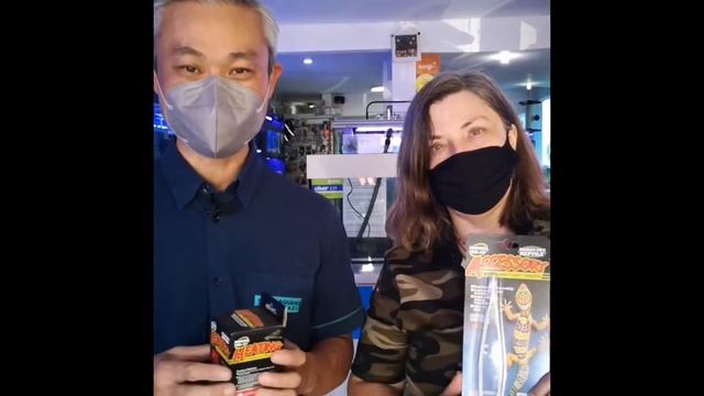 NOMOYPET смотреть онлайн