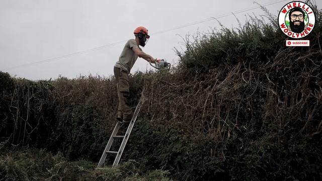Extreme Hedge Cutting - Stihl HS 45 Hedge Trimmer