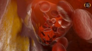 Пейте Сырое Яйцо Каждое Утро и Смотрите Что Произойдёт! РЕАЛЬНАЯ Польза Сырых Яиц | Смотри и Знай