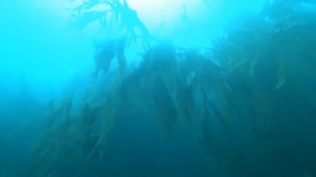 Озеро Ключик Нижегородская обл. смотреть онлайн