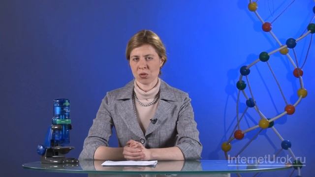 Генетическое определение пола. Видеоурок по биологии 10 класс смотреть онлайн
