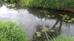 Боковой кивок на малой реке.