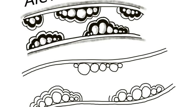 #tanglepattern #howtodraw Alevba By Jaxeling Blanco Ruiz