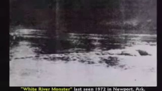 Dinosaurs And The Bible Part 11 of 17 ( Kent Hovind ) смотреть онлайн