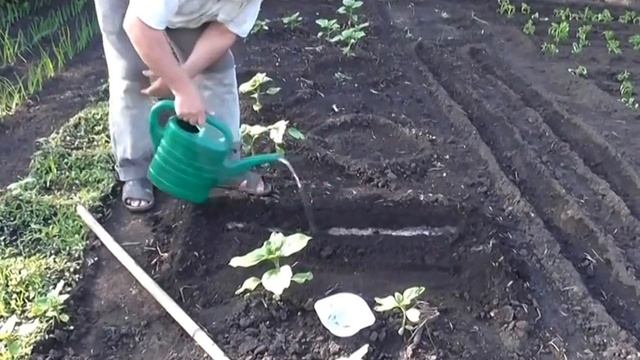 Строим с Умом