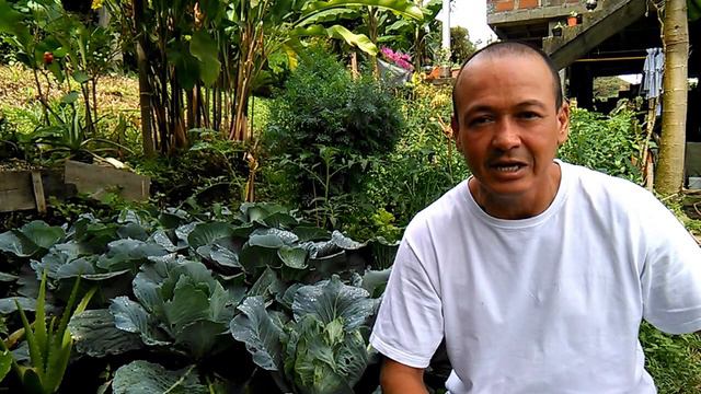 Arte y Vivero - Un Mundo de Plantas : Habla - Fundador Alex Valderrama смотреть онлайн