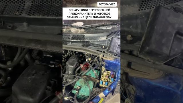 Toyota Vitz. Автомобиль не заводится. смотреть онлайн