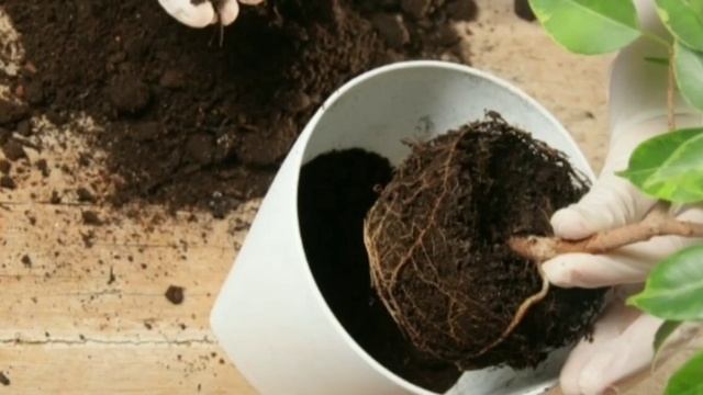 Ремонтные Историки