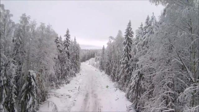 Работа в лесу с высоты птичьего полета. Распиловка старой дороги.работа в тяжелых морозных условиях смотреть онлайн