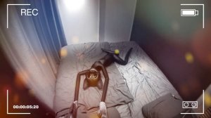 ПЕСНЯ ПРО ВСЕХ МУЛЬТЯШНЫХ МОНСТРОВ Базутка ПЧЕЛОВОД ПАРОДИЯ Мультяшный кот картун дог cartoon shee