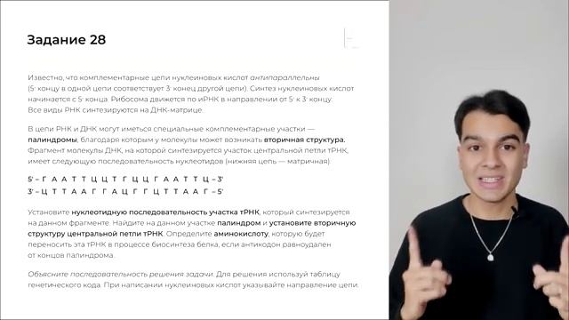 ПАЛИНДРОМЫ И ВТОРИЧНАЯ СТРУКТУРА тРНК | Рохлов | ЕГЭ 2023